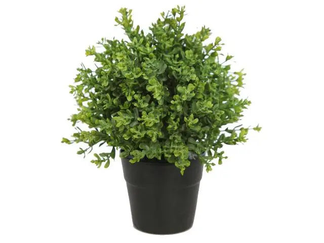 Imagen PLANTA VERDE 25 CM