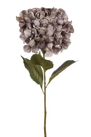 Imagen VARA HORTENSIA 75CM.