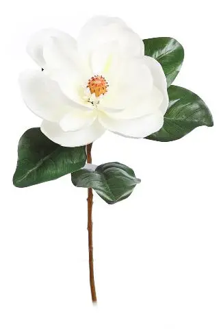 Imagen VARA MAGNOLIA 80CM