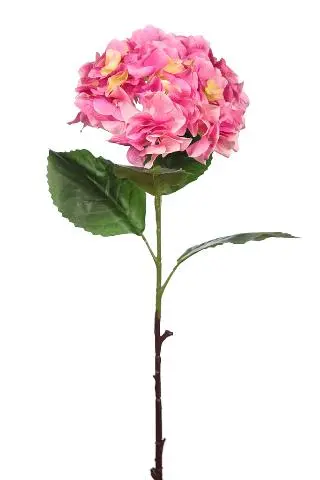 Imagen VARA HORTENSIA 75CM